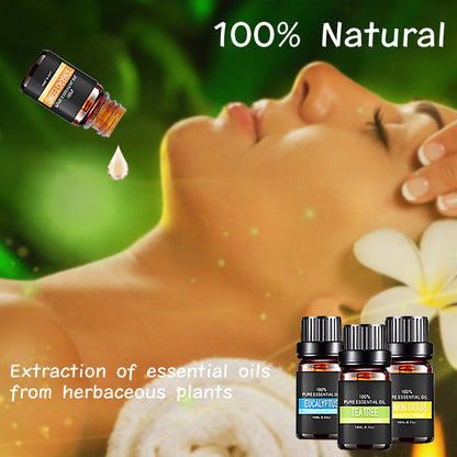 Natural Organic Essential Oils Set